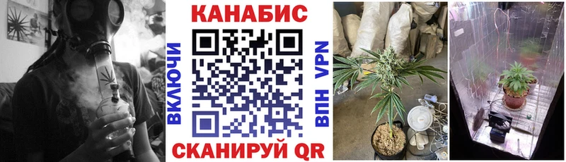 МАРИХУАНА OG Kush  MEGA ССЫЛКА  Ивангород 